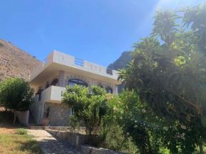 Artemisa House